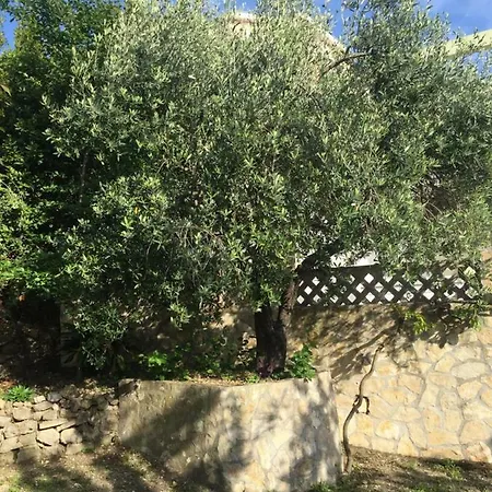 Apartman Eko Moca