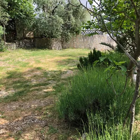 Eko Moca מאקרסקה