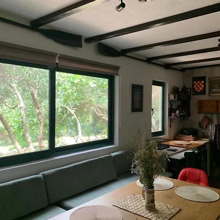 Eko Moca * מאקרסקה