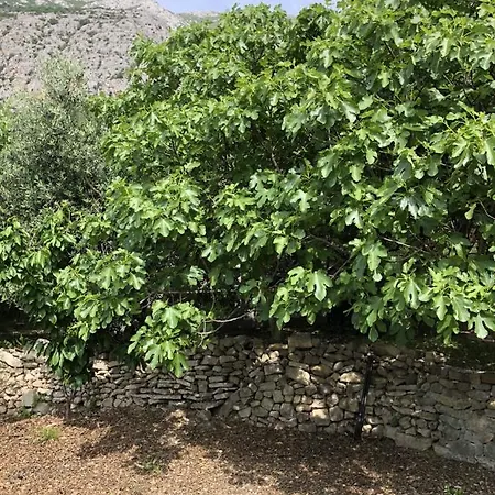 Eko Moca מאקרסקה