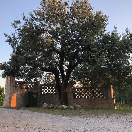 Διαμέρισμα Eko Moca