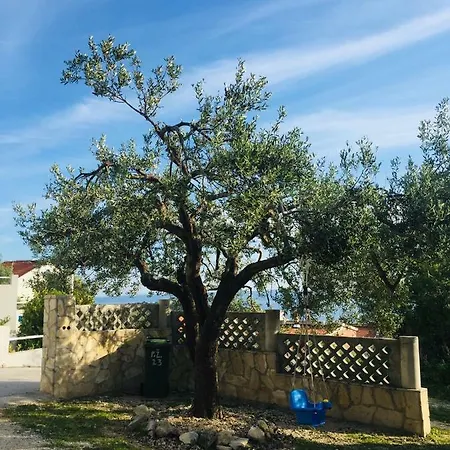 Διαμέρισμα Eko Moca *