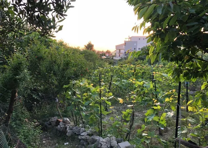 Eko Moca Apartament Makarska