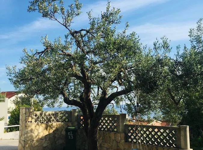 Apartament Eko Moca *